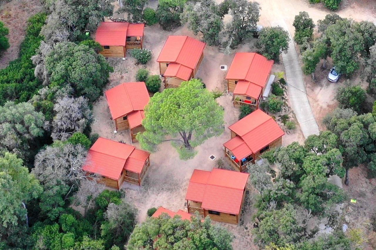 Feriendorf La Mora Calvi  Kültér fotó