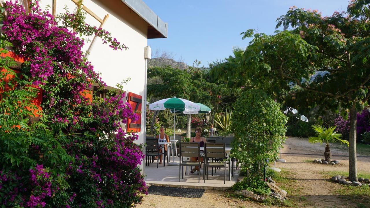 Feriendorf La Mora Calvi  Kültér fotó