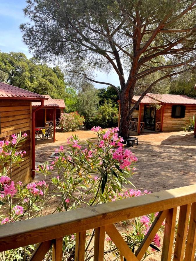 Feriendorf La Mora Calvi  Kültér fotó