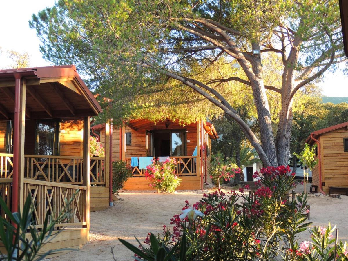 Feriendorf La Mora Calvi  Kültér fotó