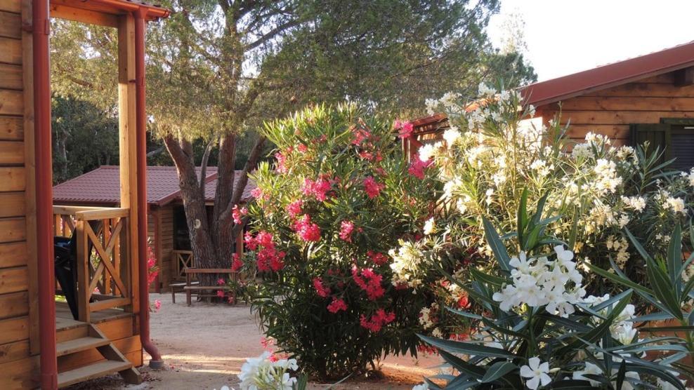 Feriendorf La Mora Calvi  Kültér fotó